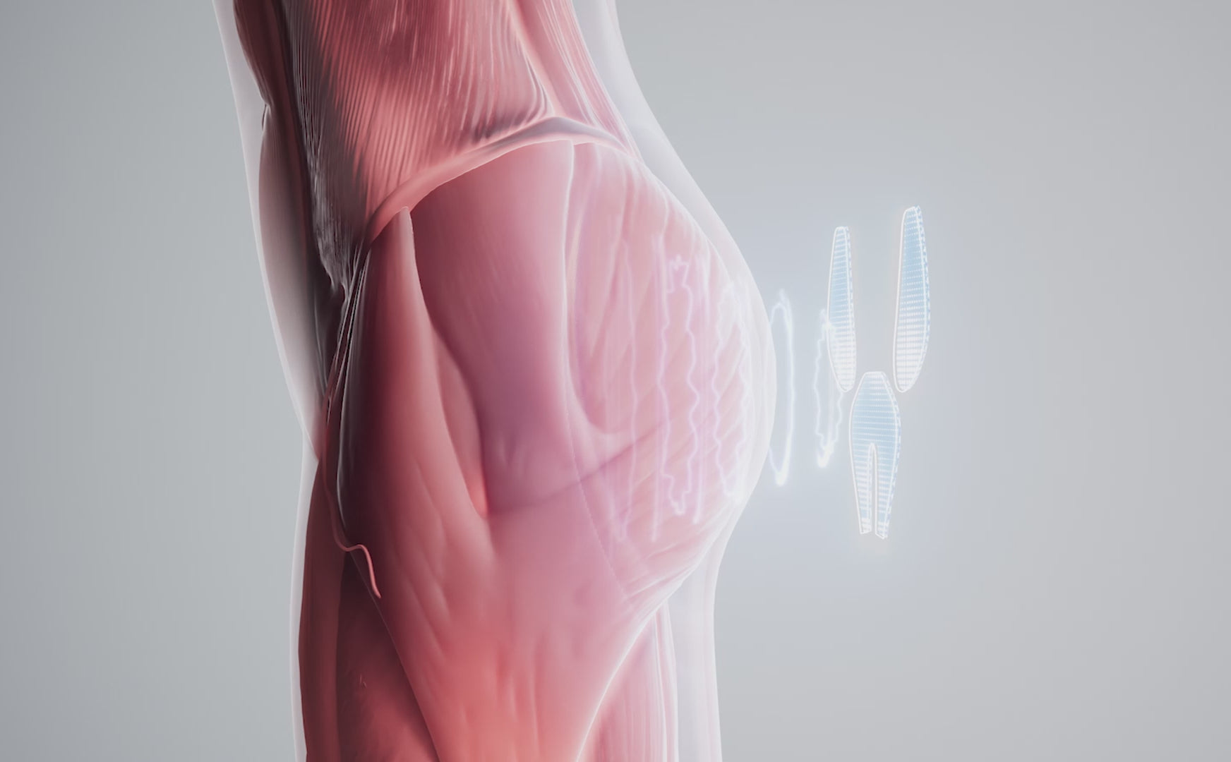 Scientific animation video showing how Lumo EMS technology stimulates muscles to shape and tone the hips
