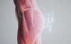 Scientific animation video showing how Lumo EMS technology stimulates muscles to shape and tone the hips